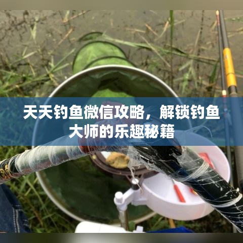 新鄉(xiāng)正鑫化工分享，天天釣魚微信攻略，釣魚大師秘籍解鎖！