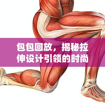 包包回放，揭秘拉伸設(shè)計(jì)引領(lǐng)的時(shí)尚新潮流