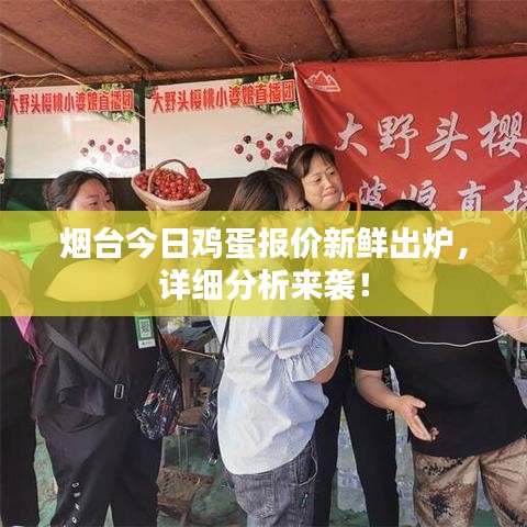 煙臺(tái)今日雞蛋報(bào)價(jià)新鮮出爐，詳細(xì)分析來(lái)襲！