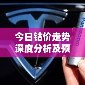 今日鈷價走勢深度分析及預測