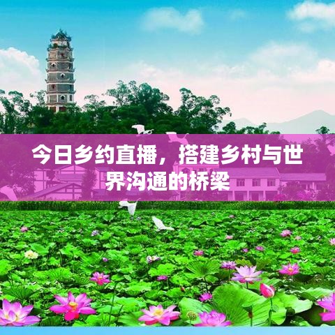 今日鄉(xiāng)約直播，搭建鄉(xiāng)村與世界溝通的橋梁