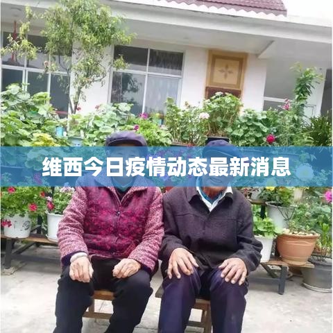 維西今日疫情動(dòng)態(tài)最新消息