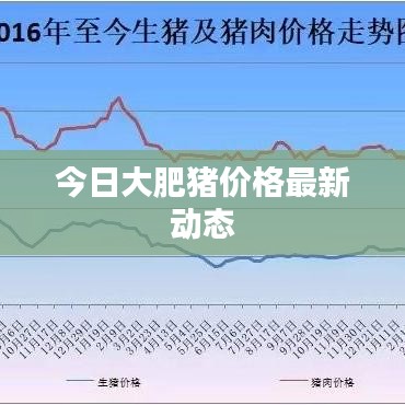今日大肥豬價格最新動態(tài)