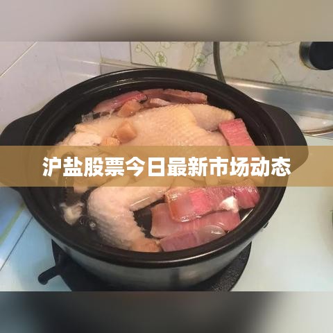 滬鹽股票今日最新市場動態(tài)