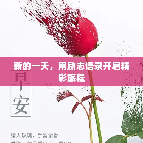 新的一天，用勵(lì)志語錄開啟精彩旅程