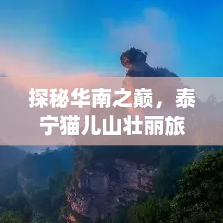 探秘華南之巔，泰寧貓兒山壯麗旅游攻略
