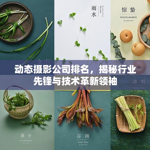 動態(tài)攝影公司排名，揭秘行業(yè)先鋒與技術(shù)革新領(lǐng)袖