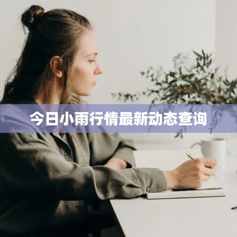 今日小雨行情最新動(dòng)態(tài)查詢