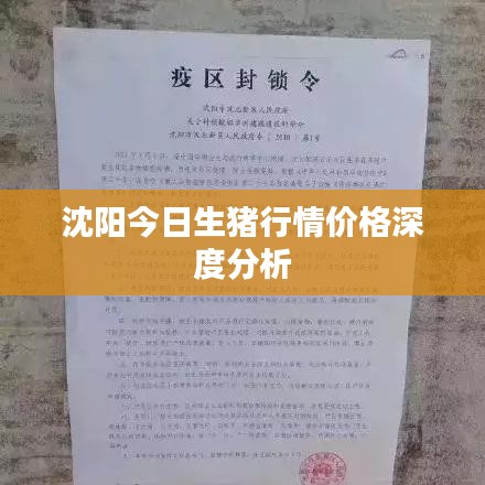 沈陽今日生豬行情價(jià)格深度分析