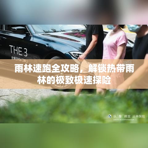 雨林速跑全攻略，解鎖熱帶雨林的極致極速探險