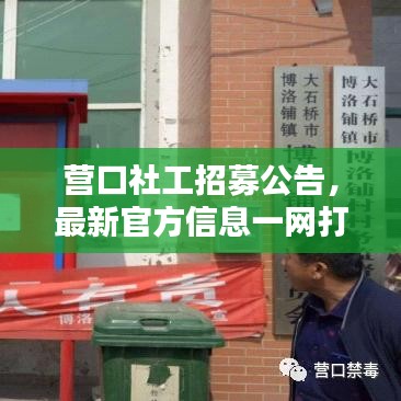 營口社工招募公告，最新官方信息一網(wǎng)打盡