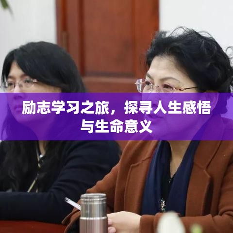 勵志學(xué)習(xí)之旅，探尋人生感悟與生命意義
