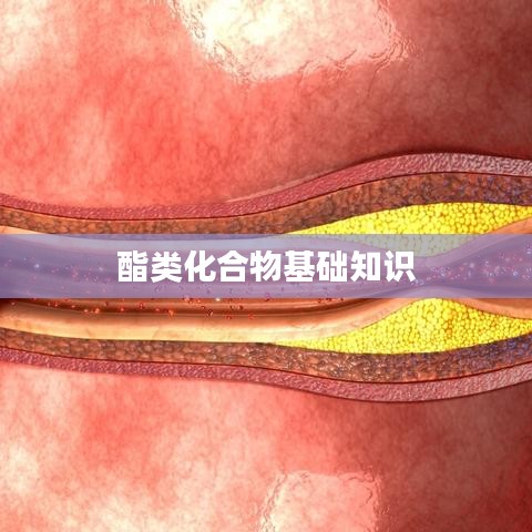 酯類(lèi)化合物入門(mén)知識(shí)詳解