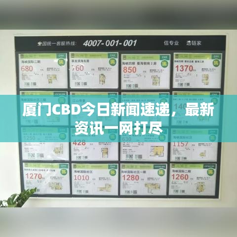 廈門CBD今日新聞速遞，最新資訊一網(wǎng)打盡