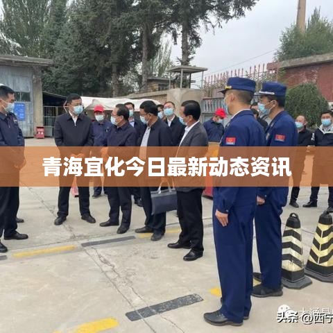 青海宜化今日最新動態(tài)資訊