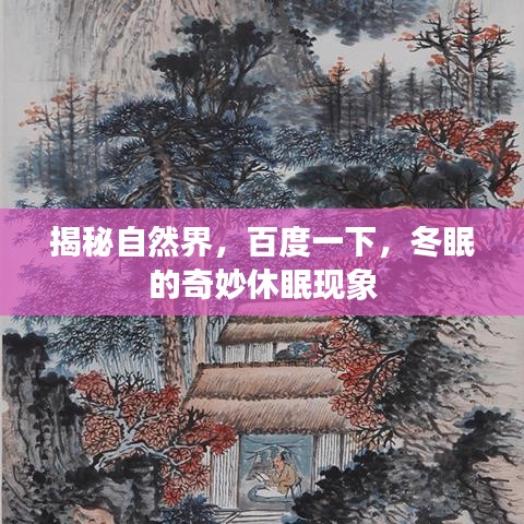 揭秘自然界，百度一下，冬眠的奇妙休眠現(xiàn)象