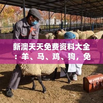 新澳天天免費(fèi)資料大全：羊、馬、雞、狗，免費(fèi)公開
