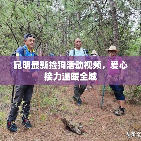 昆明最新?lián)旃坊顒右曨l，愛心接力溫暖全城