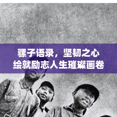 騾子語錄，堅(jiān)韌之心繪就勵(lì)志人生璀璨畫卷