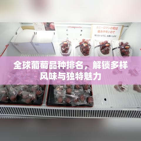 全球葡萄品種排名，解鎖多樣風味與獨特魅力