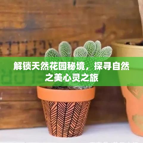 解鎖天然花園秘境，探尋自然之美心靈之旅