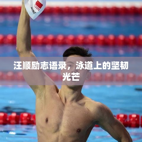 汪順勵志語錄，泳道上的堅韌光芒