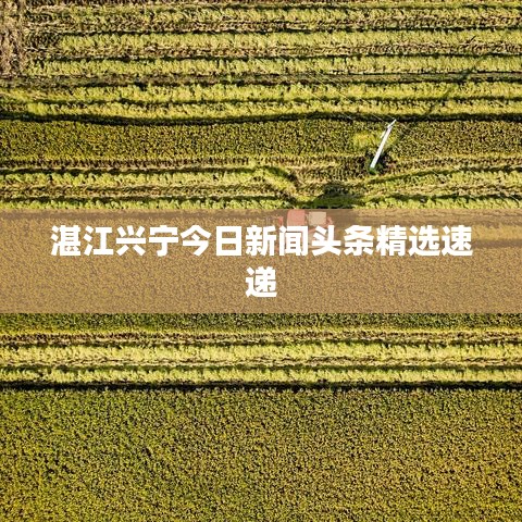 湛江興寧今日新聞頭條精選速遞