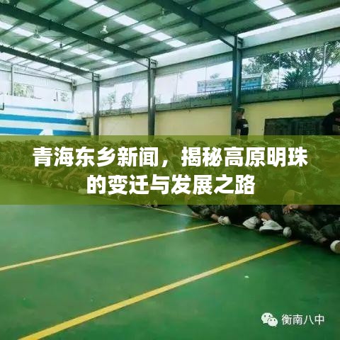 青海東鄉(xiāng)新聞，揭秘高原明珠的變遷與發(fā)展之路