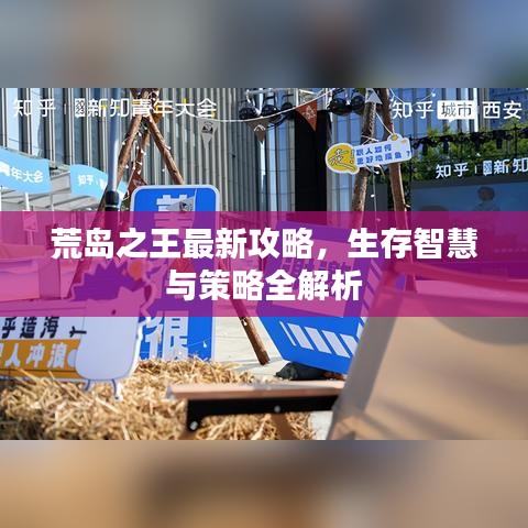 荒島之王最新攻略，生存智慧與策略全解析