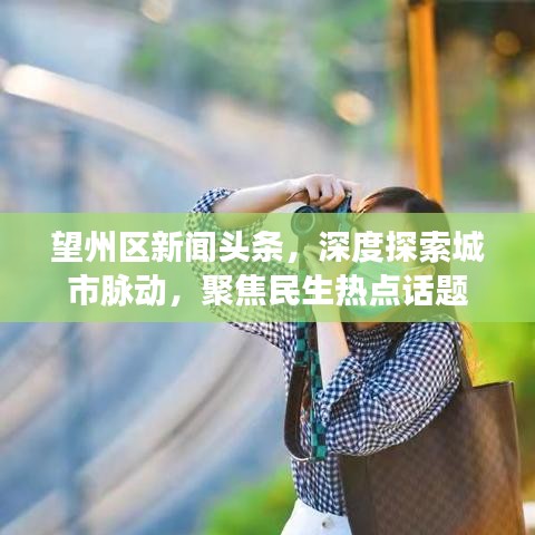 望州區(qū)新聞頭條，深度探索城市脈動，聚焦民生熱點話題