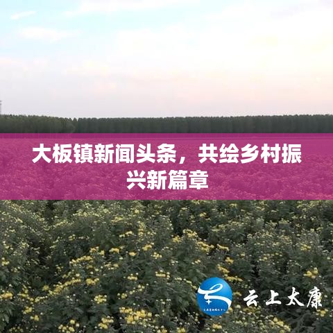 大板鎮(zhèn)新聞頭條，共繪鄉(xiāng)村振興新篇章