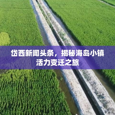 岱西新聞?lì)^條，揭秘海島小鎮(zhèn)活力變遷之旅