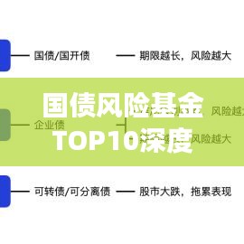 國債風險基金TOP10深度剖析