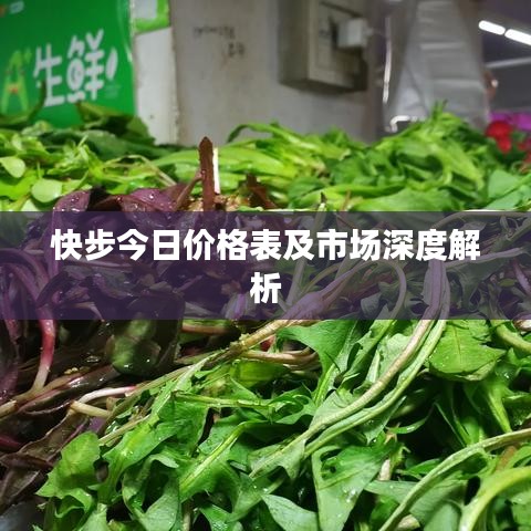 快步今日價格表及市場深度解析