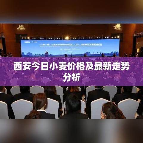 西安今日小麥價格及最新走勢分析