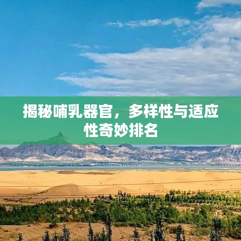 早生貴子 第4頁