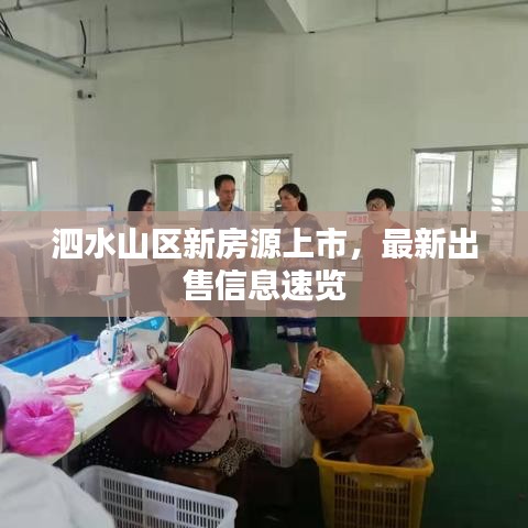 泗水山區(qū)新房源上市，最新出售信息速覽