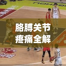 胳膊關(guān)節(jié)疼痛全解析，百度搜全面解決方案