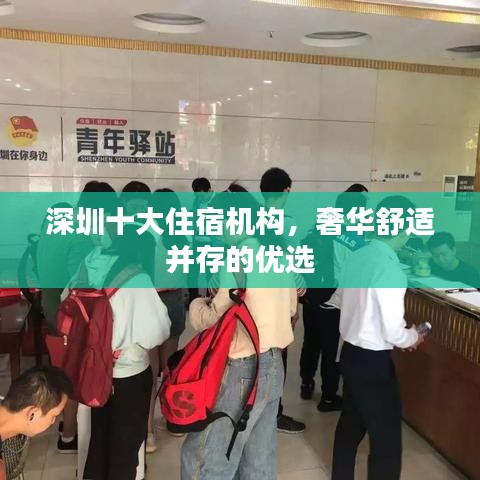 深圳十大住宿機(jī)構(gòu)，奢華舒適并存的優(yōu)選