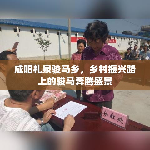咸陽禮泉駿馬鄉(xiāng)，鄉(xiāng)村振興路上的駿馬奔騰盛景