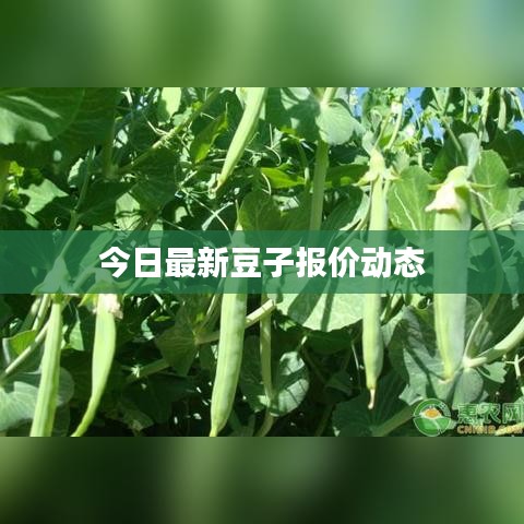 江南煙雨斷橋殤 第3頁