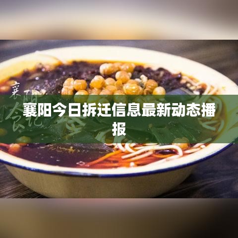 襄陽今日拆遷信息最新動態(tài)播報