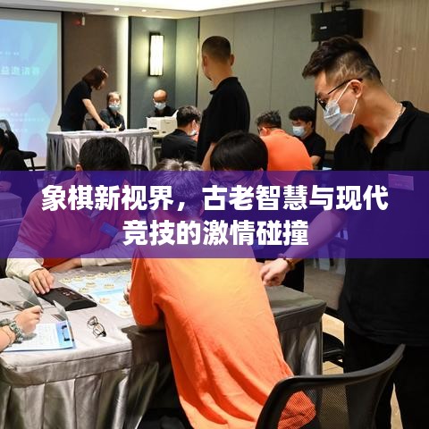 象棋新視界，古老智慧與現(xiàn)代競技的激情碰撞