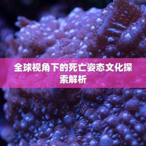 全球視角下的死亡姿態(tài)文化探索解析