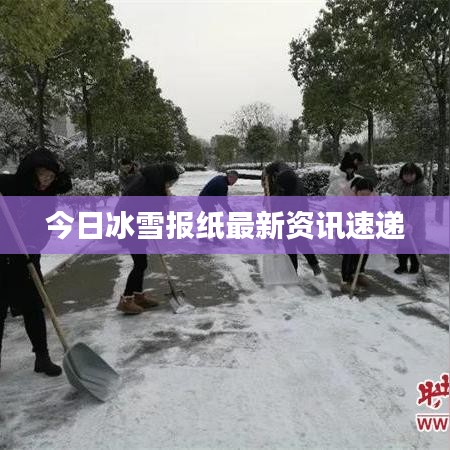 今日冰雪報紙最新資訊速遞