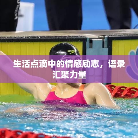 生活點滴中的情感勵志，語錄匯聚力量