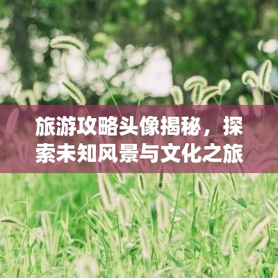 小家碧玉 第4頁