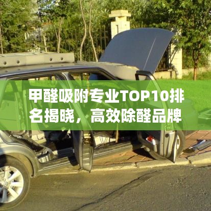 甲醛吸附專業(yè)TOP10排名揭曉，高效除醛品牌大比拼！