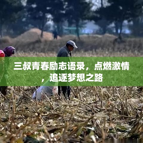 三叔青春勵(lì)志語(yǔ)錄，點(diǎn)燃激情，追逐夢(mèng)想之路