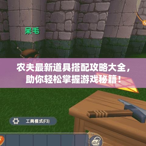 農(nóng)夫最新道具搭配攻略大全，助你輕松掌握游戲秘籍！